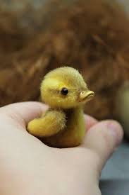 Black And Yellow Duckling Duck Art Doll Interior Duckling Stuffed Bird Realistic Toy Etsy In 2020 Duck Wallpaper Baby Ducks Cute Little Animals