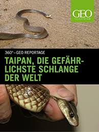 Auch wenn es in deutschland giftige schlangen gibt: Amazon De Taipan Die Gefahrlichste Schlange Der Welt Ansehen Prime Video