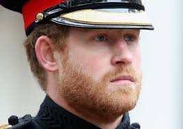 We Have To Talk About Prince Harry's Beard Right Now