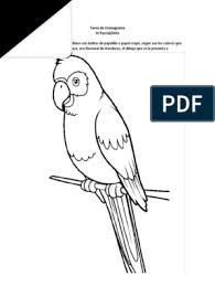 En méxico habita entre los 150m y 2400 m sobre el nivel del mar. Arte Iv