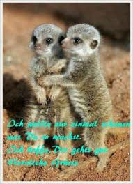 Mit dabei sind natürlich grüße an. Guten Morgen Hallo Liebe Grusse Schonentag Dreamies De