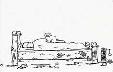 Simon's cat is an animated cartoon series created by simon. Guten Morgen Lustige Videos Cartoonland De