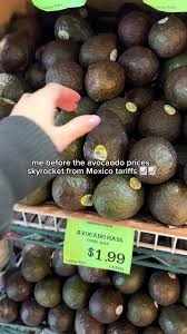 Image result for Dark Avocado 1972 Philco