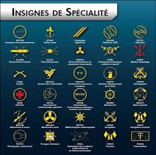 10998310 Jpg 800 797 Marine Nationale Marine Nationale Francaise Insignes