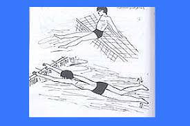 Image result for ‫کرال سینه‬‎