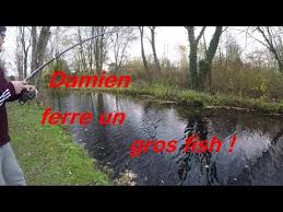 We did not find results for: Peche Du Brochet Au Vif La Folie Dans Un Fosse Youtube