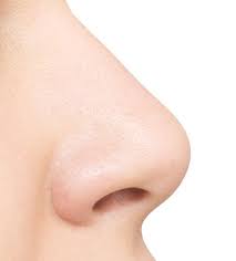 They result from chronic inflammation and are associated with asthma, recurring infection, allergies, drug sensitivity or certain immune disorders. What Does A Nasal Polyp Look Like Riesberg Institue Ear Nose And Throat Specialists