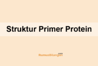 Protein yang terkandung didalam kacang merah mempunyai manfaat bagi tubuh terutama untuk kesehatan jantung. Protein Fungsional