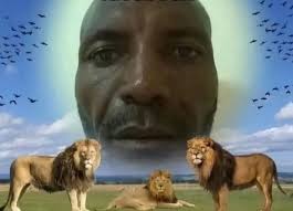 David Jacob Kooyman (@daviewander.au) • Instagram photos and videos