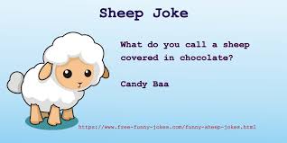 A silly joke my grandpa used to tell me. Funny One Liner Jokes For Kids