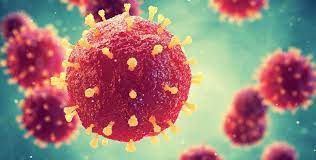 Diagnosis many of the signs and symptoms of marburg hemorrhagic fever are similar to those of other more frequent infectious diseases, such as malaria or typhoid fever, making diagnosis of the disease difficult. Ø§ÙƒØªØ´Ø§Ù ÙÙŠØ±ÙˆØ³ Ù…Ø§Ø±Ø¨ÙˆØ±Øº ÙÙŠ Ø®ÙØ§ÙÙŠØ´ ØºØ±Ø¨ÙŠ Ø£ÙØ±ÙŠÙ‚ÙŠØ§