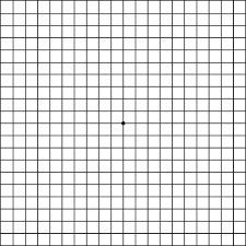 Amsler Grid Simple Eyes