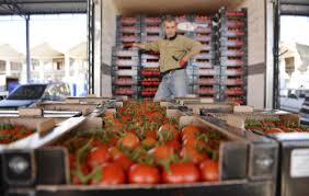 Jun 07, 2021 · nasa is investigating the sighting of unidentified flying objects seen by navy pilots, the space agency's chief administrator bill nelson has said. Turkish Associations Call For Halt In Quotas On Tomato Exports To Russia Daily Sabah
