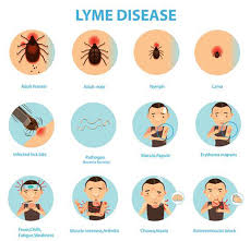 Check spelling or type a new query. Eritemul Migrator Mivaderm Cabinet Dermatologie Dr Virginia ChiÈ›u