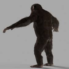 Chimpanzee Rigged Animation 3d Model 3d Model Chimp Animation