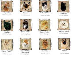 Cats Types Different Breeds Of Cats With Pictures And Names Different Breeds Of Cats Cat Breeds List Cat Breeds