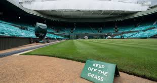 Barty will look to capture her first wimbledon singles title, while pliskova is on the verge of her first ever grand slam title. Full 2021 Wimbledon Women S Singles Draw Tennis Majors Full Wimbledon Women S Singles Draw