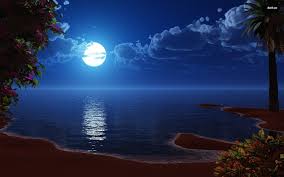 Full Moon Wallpaper Full Moon At The Beach Wallpaper Digital Art Wallpapers 13791 Ocean At Night Beach At Night Beach Night