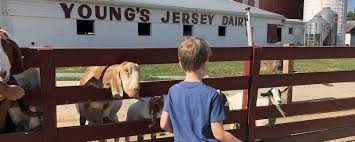 We will set up a fenced in area for our friendly farm animals to be petted and cuddled. Petting Zoos And Animal Farms Your Kids Will Love To Visit In Ohio