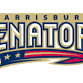 Somerset Patriots at Harrisburg Senators