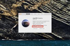 They should have instructions on how you can find it. How To Find A Mac S Serial Number In 3 Different Ways
