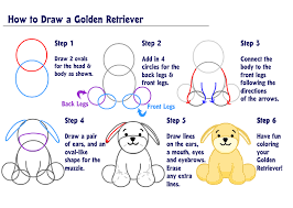 Golden retrievers have an instinctive love of water. Learn How To Draw A Golden Retriever Wkn Webkinz Newz