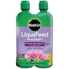 We did not find results for: What Is The Best Fertilizer For Banana Trees Garden Tabs