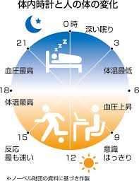 生き物の リズム 刻む医学生理学賞は 生き物の一日のリズムを刻む 体内時計 の仕組みを解明した米国人研究者3人に授与される 人を含む動物や植物は 地球の自転によって起きる昼夜のリズムに合わせて 代謝や 生理学 医学 ノーベル賞