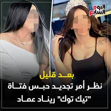 في تحقيقات النيابة العامة معها قالت ريناد عماد إنها ليس لديها مصدر دخل ثابت سوى مصروفها من والدها الذي يعمل بإحدى شركات المحمول بفرع مدينة نصر ، والذي قدرته بنحو 400 جنيه وعن علاقتها بتطبيق تيك توك، قالت ريناد عماد إنها تنشر صورها فقط على التطبيق. Facebook