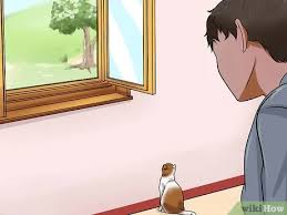 It can help certain people lower their risk of a heart attack or stroke. How To Identify If Your Cat Has Had A Stroke With Pictures