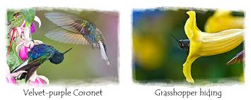 We did not find results for: Enjoying The Small Things In Life Nature Wildlife Nature Wildlife