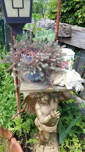 Pin Von Maria Geralda Eleuterio Denkle Auf Geraldinos Wetter Stein Garten Garten Paradies Steine