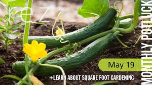 If you have yet to discover the advantages and pleasures of the. All Church Potluck And Square Foot Gardening Resurrection United Methodist Church Of Hastings
