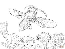 Home> ant man coloring pages > ant man and wasp colorings pages ant man and wasp colorings pages (image info: Yellow Jacket Wasp Coloring Page Coloring Home