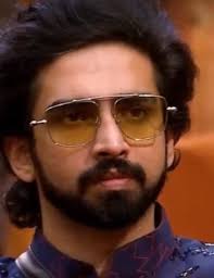 Amaal Malik's savage reply