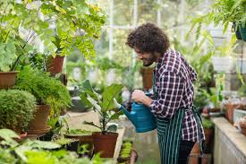 Learn the five major benefits of using a greenhouse. The Benefits Of Having A Greenhouse Mladysrecords Com