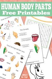 Preschoolers have to match body parts with words in this free reading worksheet. Human Body Parts Worksheets Itsybitsyfun Com