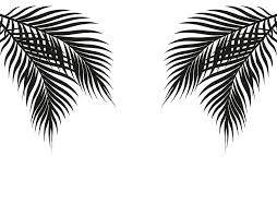 13738 hitam putih clipart gratis domain publik vektor hitam putih vektor domain publik unduh grafis dan gambar vektor bebas hak cipta anda bisa menggunakan gambar kita untuk keperluan komersial tidak. Daun Palem Hitam Dan Putih Tropis Di Kedua Sisi Vektor Ai Eps Uidownload