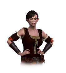 Eveline ran away mid heist, casamir blew up the vault and caused a fight. Eveline Gallo Witcher Wiki Fandom
