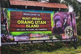 Bukit merah orang utan island foundation website. Orang Utan Island Perak Day Tour Private Marriott Vacation Club