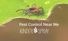 At nextgen pest solutions, we take a different approach, making us the there are occasional cases where a slightly more toxic pest control method is required, but we will always discuss concerns and options before treatment. Organic Pest Control Archives Kinder Spray