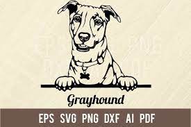 Dog svg file, dog paw print svg , dog bone svg, dog house svg, dog clipart, dog vector, cricut & silhouette, vinyl, dxf, ai, pdf, png, eps cutting files for cricut and silhouette machines you will get: Peeking Greyhound Dog Svg Dog Clip Art Dog 1285531 Cut Files Design Bundles