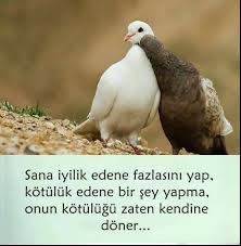 Cansu Dogan Adli Kullanicinin Ozlu Sozler 3 Panosundaki Pin