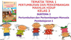 Kunci jawaban tema 1 kelas 3 pembelajaran 3 halaman 35. Kelas 3 Tematik Tema 1 Pertumbuhan Dan Perkembangan Makhluk Hidup Subtema 2 Pembelajaran 1 Youtube