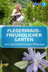 Wo Leben Fledermause So Fuhlen Sich Fledermause In Ihrem Garten Wohl Br De Naturnaher Garten Pflanzen Garten
