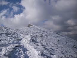 Image result for site:wikineos.com