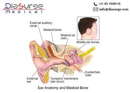 Mastoidectomy Endoscopy Surgery Medical Ear Anatomy Irrigation Pumps
