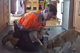 A choking dog will most likely begin pawing at his face right away. Former Lifeguard Springs Into Action To Rescue His Choking Dog