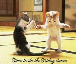 Happy Friday Dancing Animals Dancing Cat Friday Dance