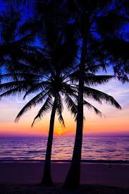David liu / getty images. Beautiful Sunset Sunset Over The Stock Image Colourbox